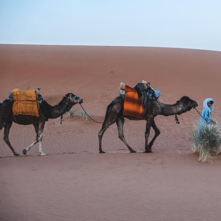 Bed and Breakfast Camel Luxury Camp Мерзуга Екстер'єр фото