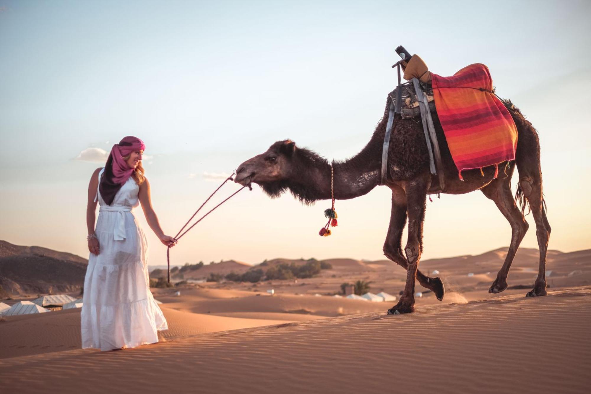 Bed and Breakfast Camel Luxury Camp Мерзуга Екстер'єр фото